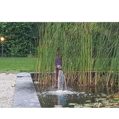 La Maison D Alys Cabannes Kültér fotó