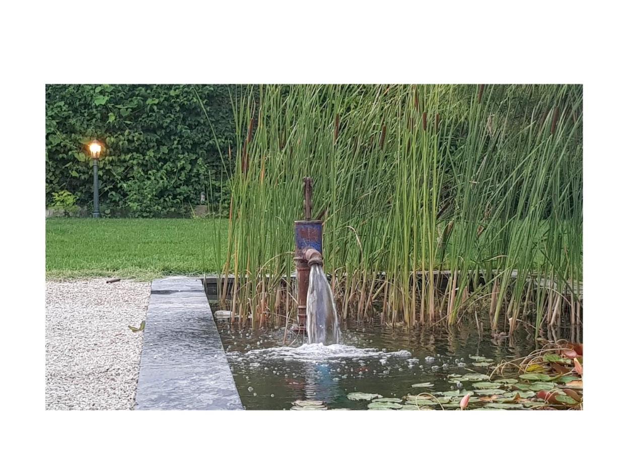 La Maison D Alys Cabannes Kültér fotó